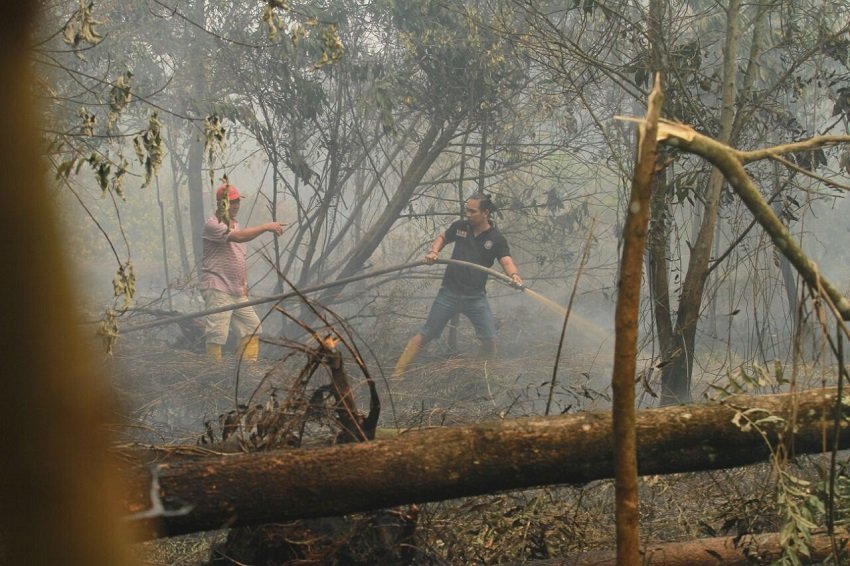 Cegah Karhutla Sejak Dini, Wako Edi Rusdi Kamtono Terbitkan Edaran dan Libatkan Warga